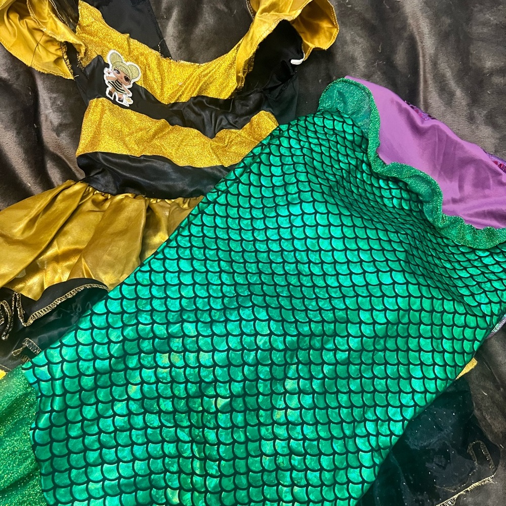 Kids Mermaid and Bee Costume Set - Green, Gold, Black, Purple